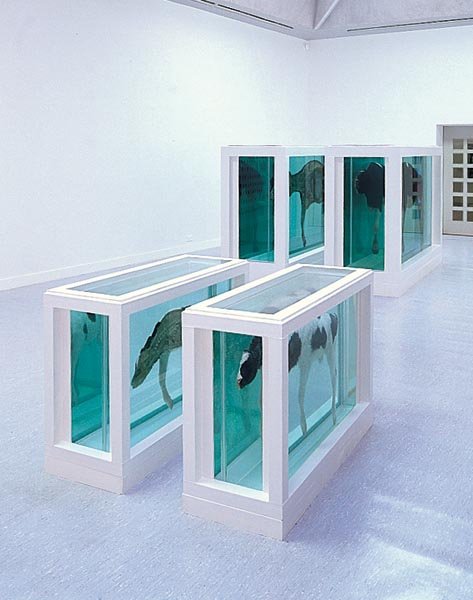 Turner Prize 1995 artists: Damien Hirst | Tate