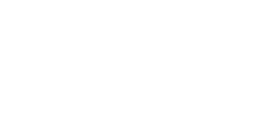 Lockton Logo - White Transparent Background