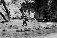 Mike Kelley, Monkey Island (Los Angeles Zoo #1), 1982–83