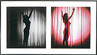 Mike Kelley, Extracurricular Activity Projective Reconstruction #26 (Exotic Dancer), 2004–2005