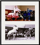 Mike Kelley, Extracurricular Activity Projective Reconstruction #32 (Horse Dance of the False Virgin), 2004–2005