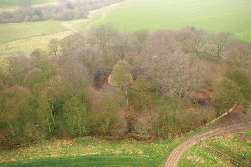 Andy Goldsworthy Outclosure